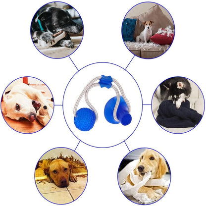 Durable Suction Cup Dog Toy for Interactive Fun