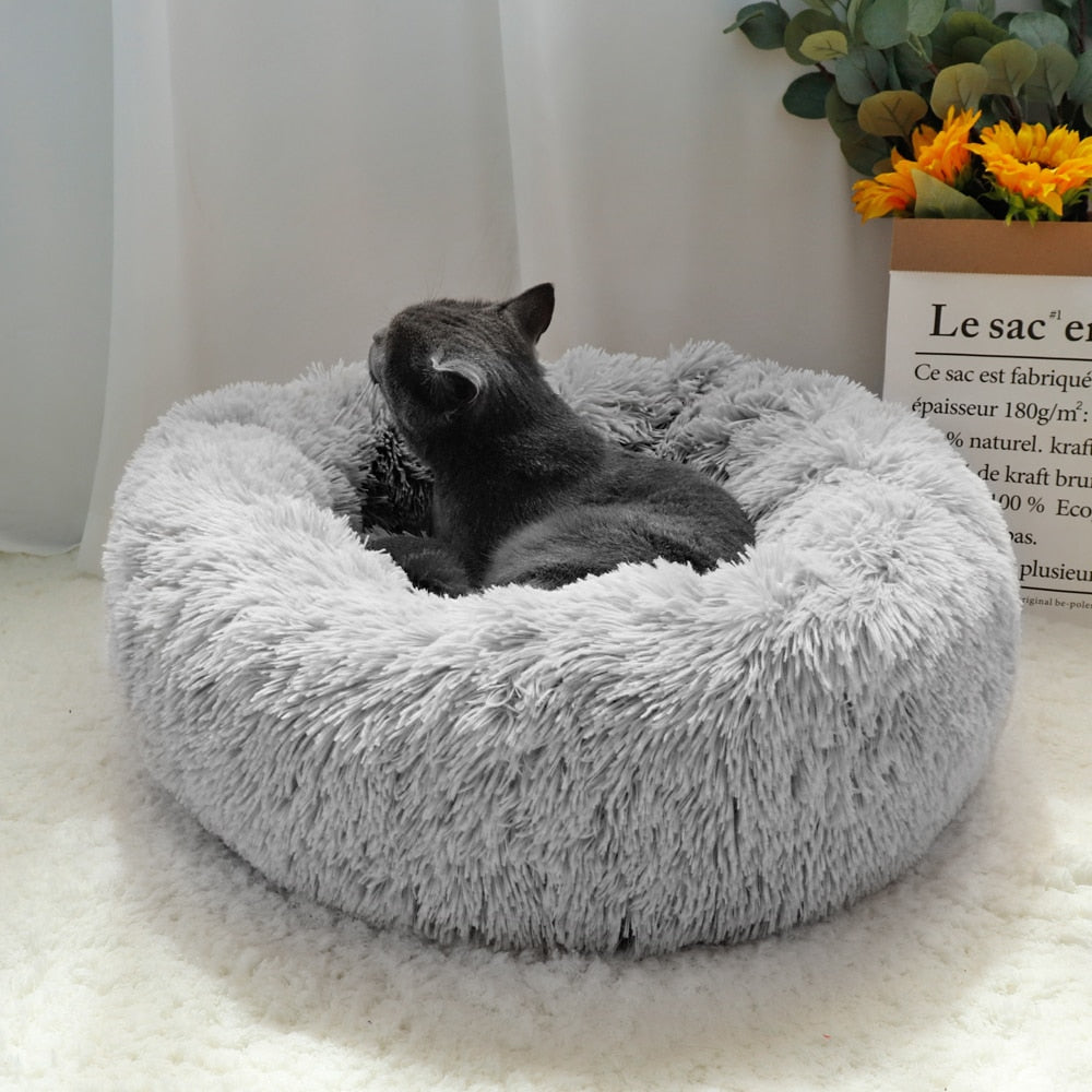 Cozy Fleece Dog Beds for Ultimate Comfort and Warmth