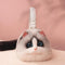 Ragdoll Cat