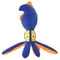 Squid