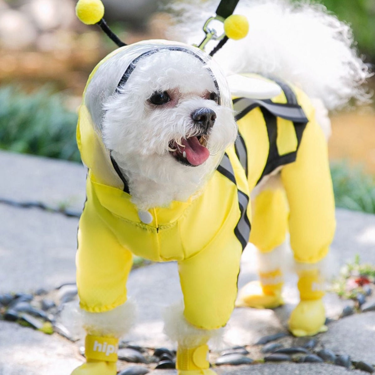 Cute Yellow Bee Dog Raincoat - Waterproof & Adorable Pet Accessory