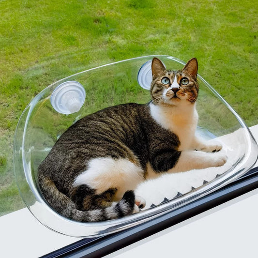 Clear Window Cat Hammock Bed - Cozy & Space-Saving Pet Accessory