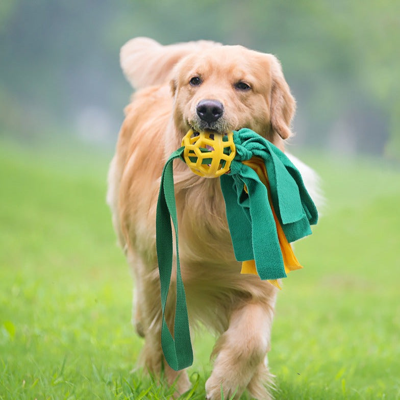 Interactive Dog Toy: Leaking Food Sound Ball for Fun Play