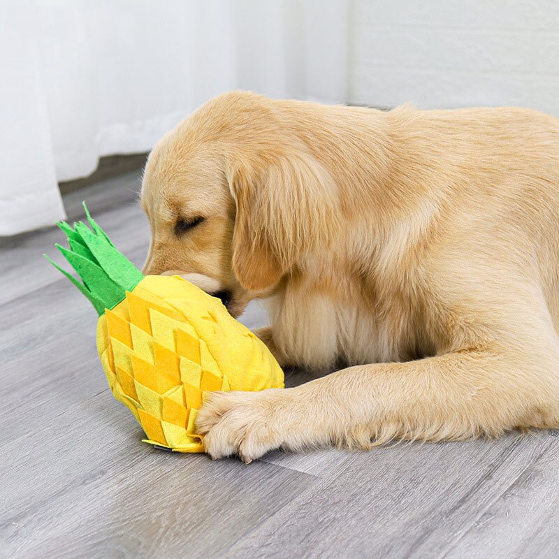 Interactive Pineapple Dog Toy - Plush Squeak & Snuffle Fun