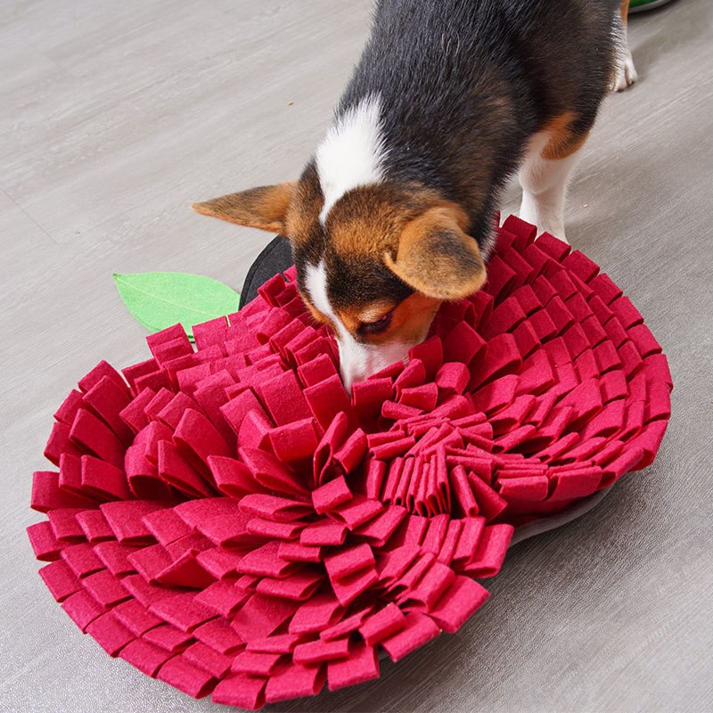 Interactive Fruit Fleece Dog Snuffle Mat for Engaging Play