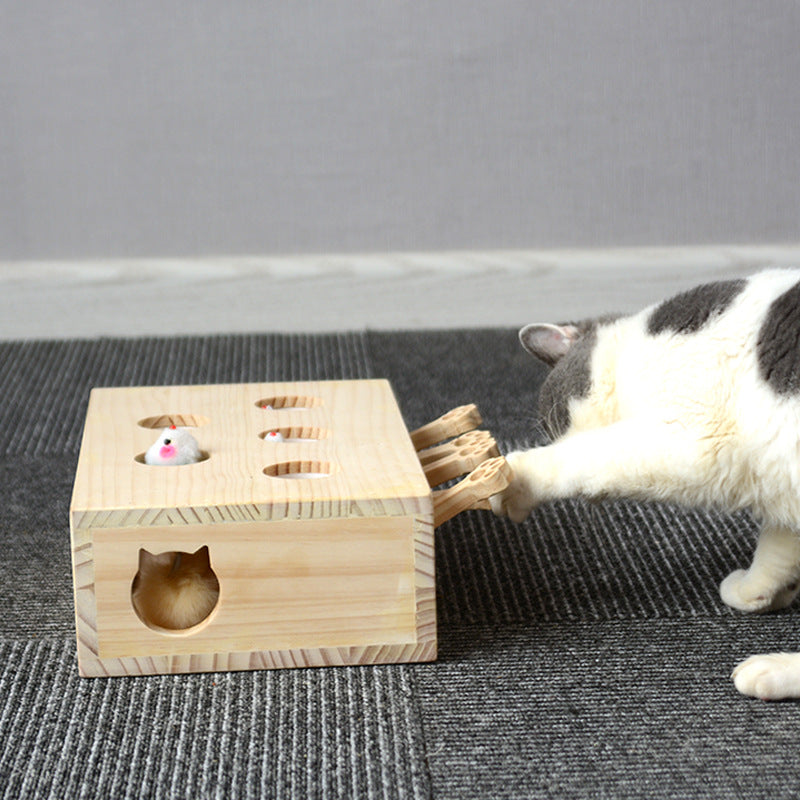 Interactive Wooden Rectangle Cat Toy for Engaging Play