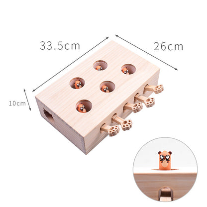 Interactive Wooden Rectangle Cat Toy for Engaging Play