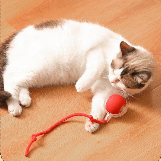 Interactive Electric Cat Toy: Automatic Rolling Ball Fun