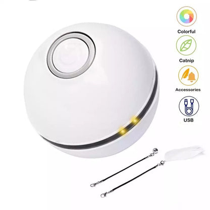 Interactive Cat Toy: Rolling Ball with Magnetic Feathers
