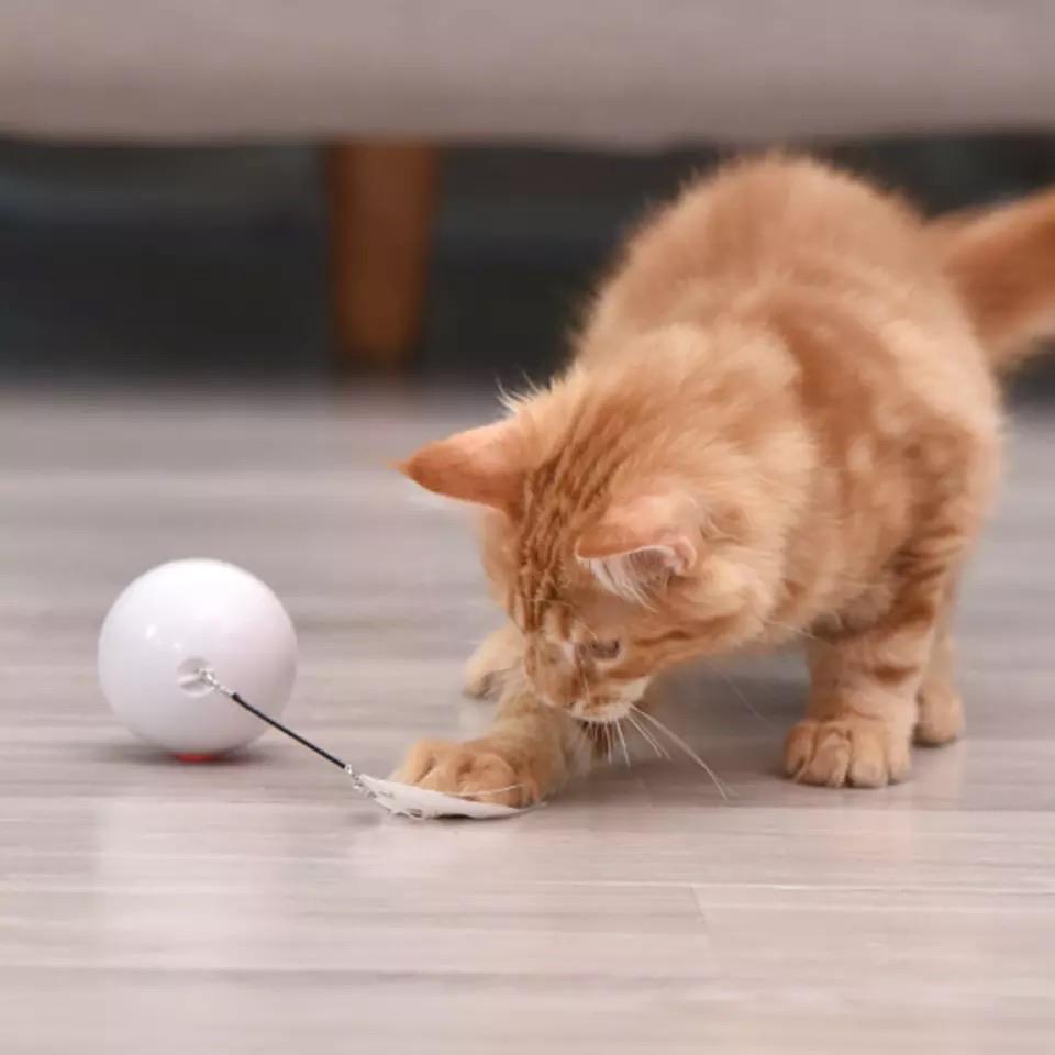 Interactive Cat Toy: Rolling Ball with Magnetic Feathers