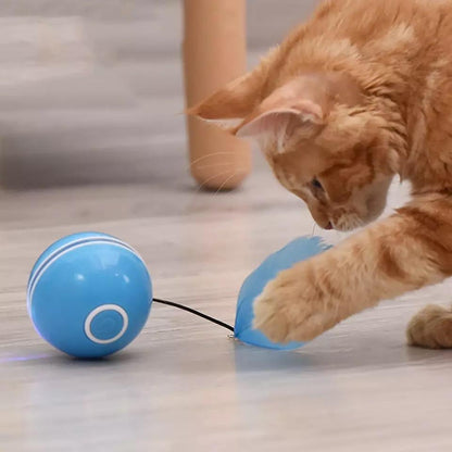 Interactive Cat Toy: Rolling Ball with Magnetic Feathers