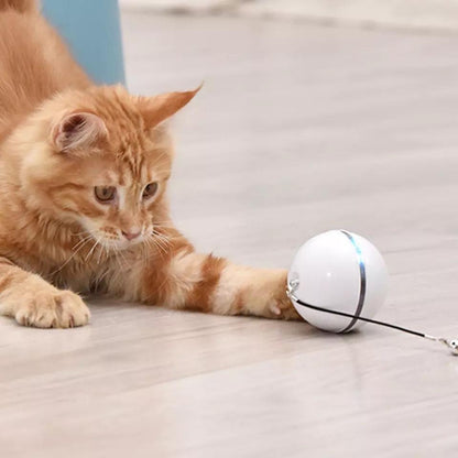 Interactive Cat Toy: Rolling Ball with Magnetic Feathers