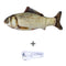 Crucian Carp