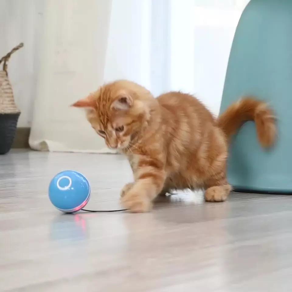 Interactive Cat Toy: Rolling Ball with Magnetic Feathers