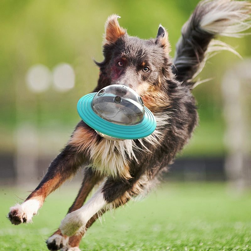 Interactive Dog Toy: Fun Treat Dispenser for Playtime!