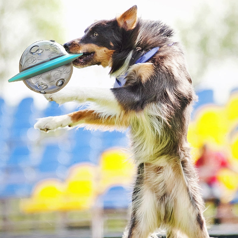 Interactive Dog Toy: Fun Treat Dispenser for Playtime!