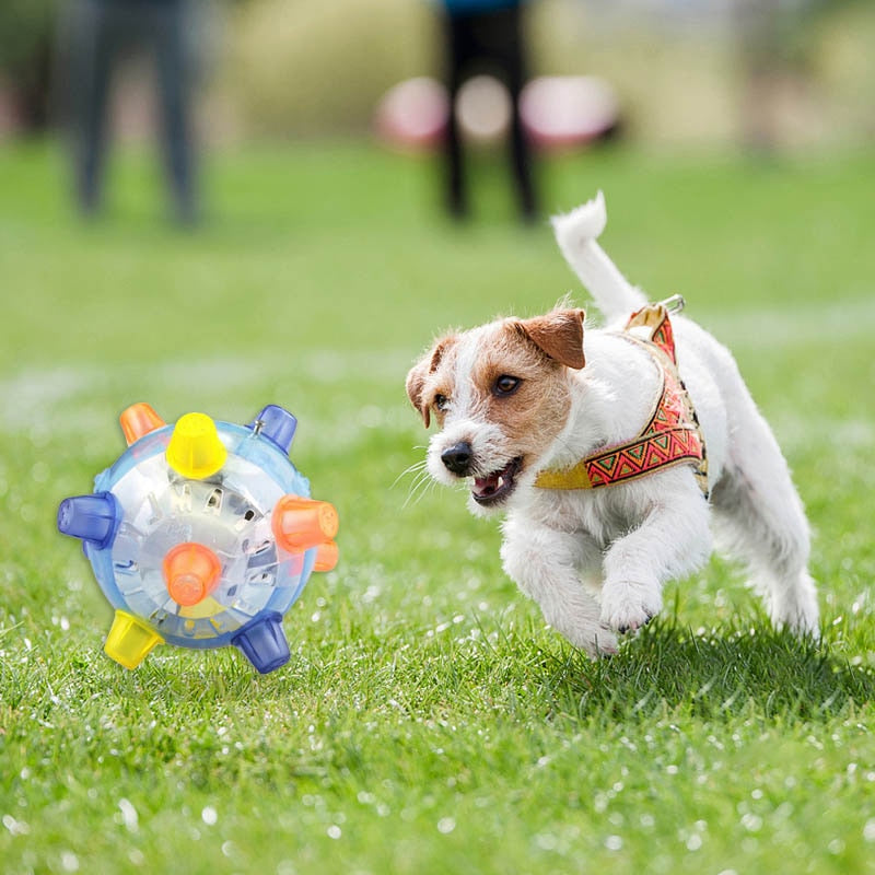 Interactive Jumping Dog Toy for Active Playtime Fun